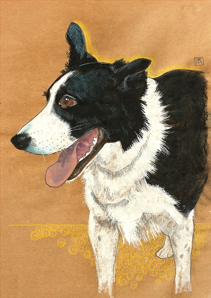 mixed media drawing of a border collie called Alfie