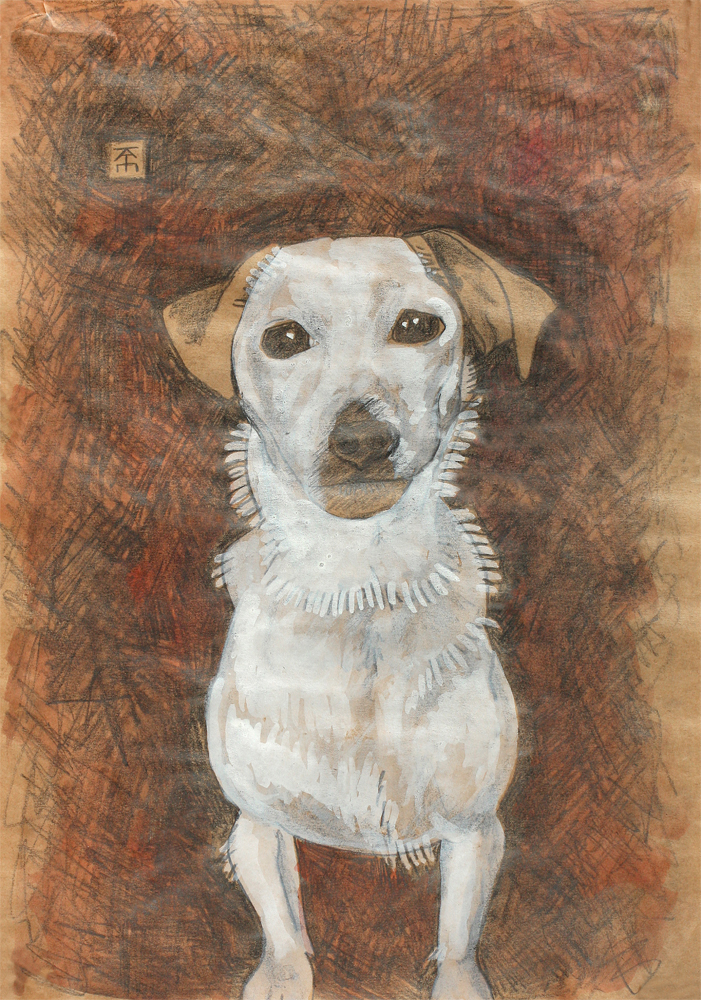 terrier portrait